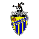 Valadares Gaia FC